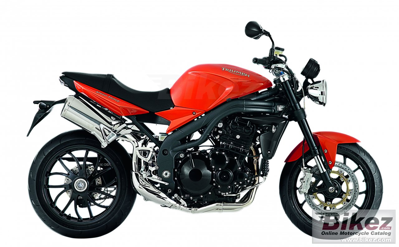 Big Triumph speed triple picture and wallpaper from Bikez.com